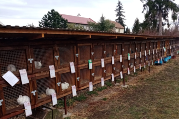 Kalendář výstav 2025